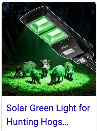 Hog Hunting Lights